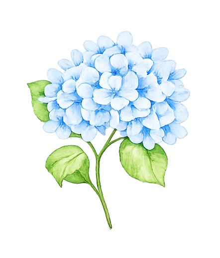 bloem